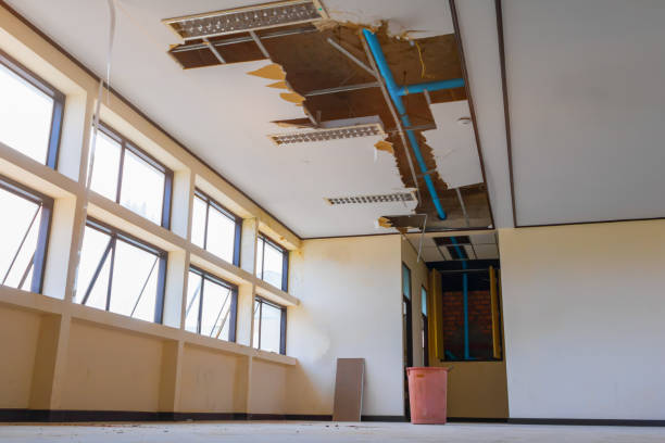 Best Local water damage restoration  in North Potomac, MD