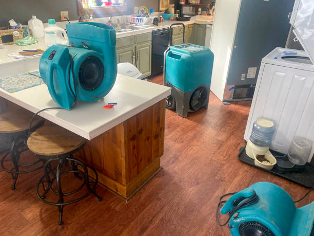 Best Water damage restoration near me  in North Potomac, MD