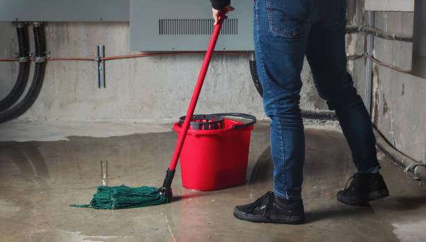 Best Water damage cleanup near me  in North Potomac, MD