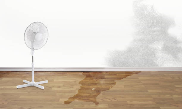 Best Carpet water damage restoration  in North Potomac, MD