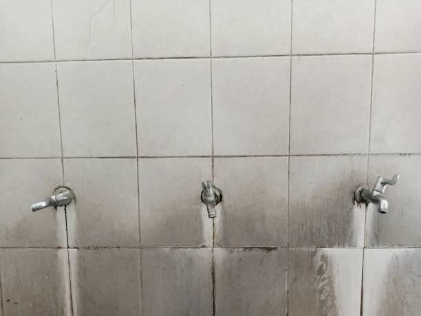 Best Basement water damage restoration  in North Potomac, MD