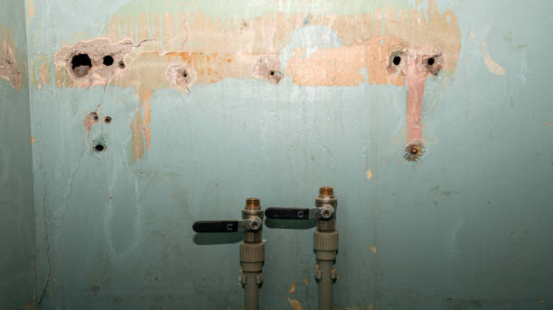 Best 24/7 water damage repair  in North Potomac, MD
