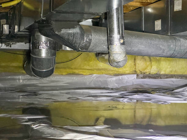 Best Professional water damage repair  in North Potomac, MD