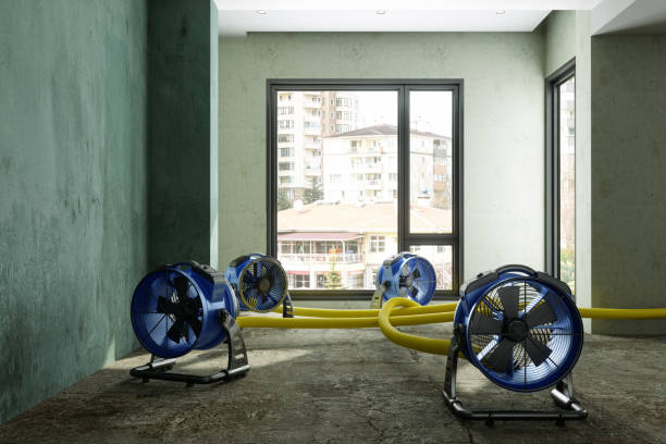 Best Mold removal after water damage  in North Potomac, MD